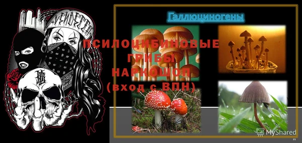 эйфоретик Арсеньев
