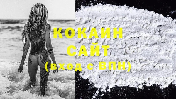 эйфоретик Арсеньев