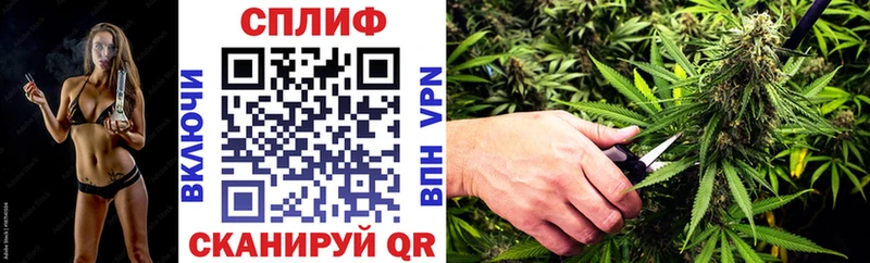 Бошки Шишки гибрид  дарк нет как зайти  Циолковский 